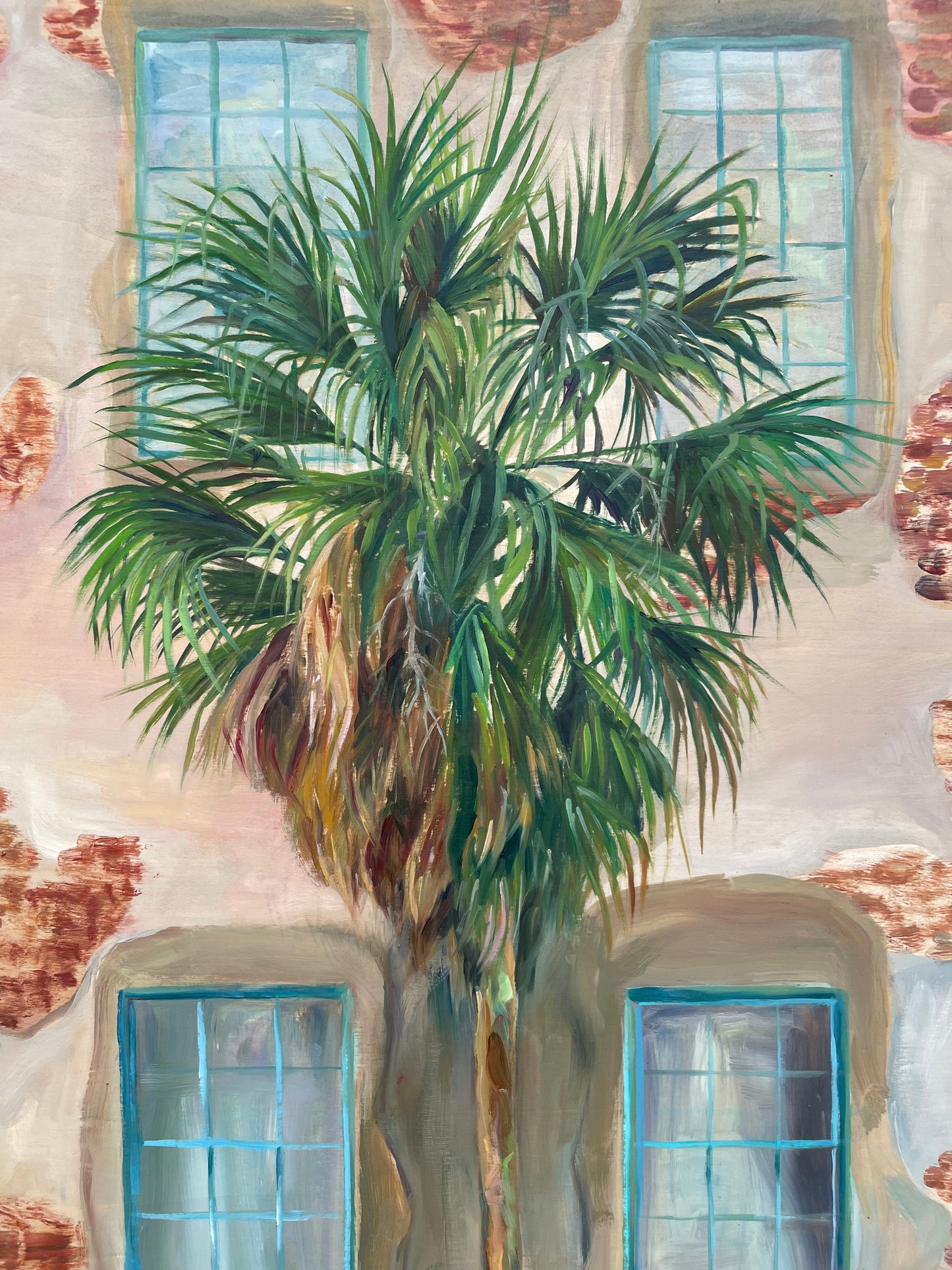 Charleston Palm