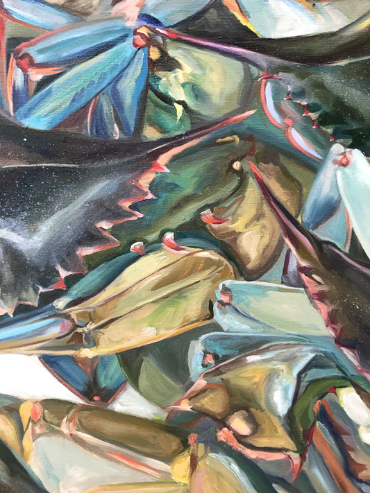 Blue Crabs